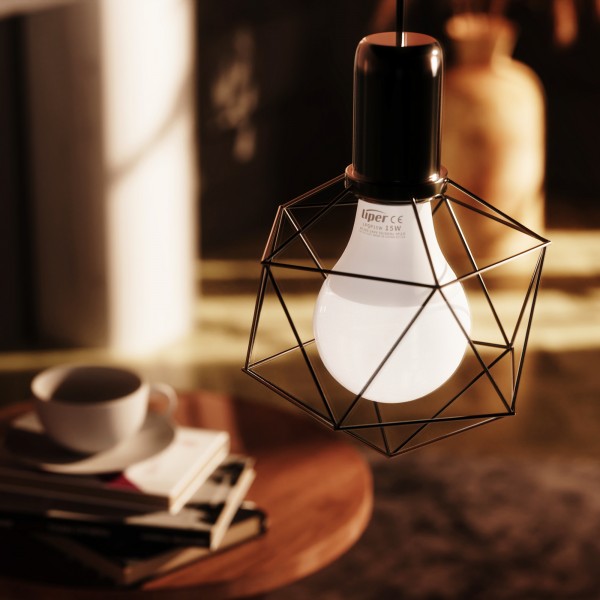 LED Bulb Light